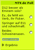 fake-screenshot: mtv.de poll